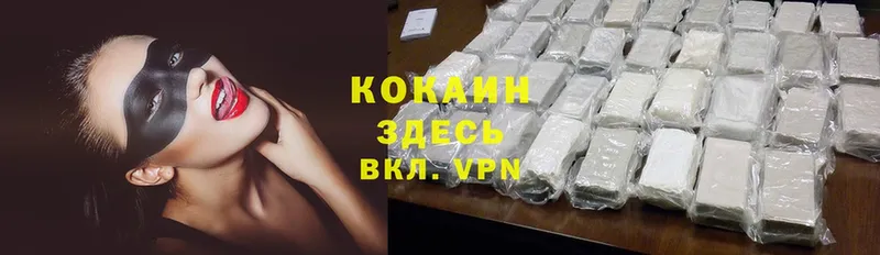 Cocaine FishScale  купить наркотик  Далматово 